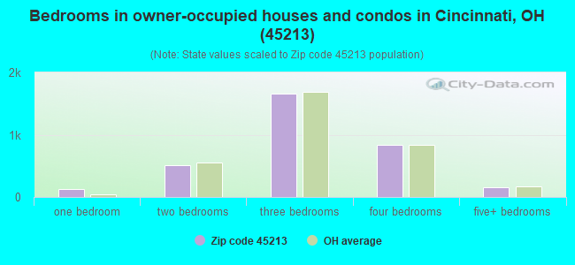 Bedrooms in owner-occupied houses and condos in Cincinnati, OH (45213) 