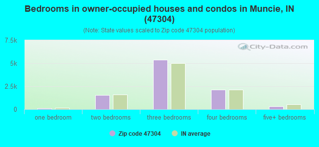 Bedrooms in owner-occupied houses and condos in Muncie, IN (47304) 