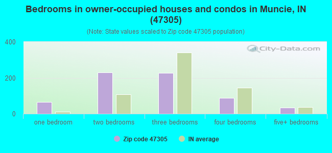 Bedrooms in owner-occupied houses and condos in Muncie, IN (47305) 
