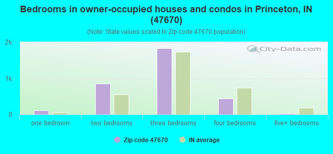 Bedrooms in owner-occupied houses and condos in Princeton, IN (47670) 