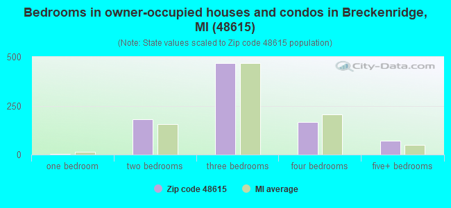 Bedrooms in owner-occupied houses and condos in Breckenridge, MI (48615) 