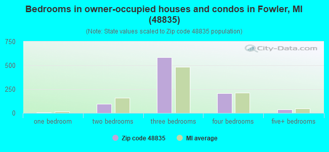 Bedrooms in owner-occupied houses and condos in Fowler, MI (48835) 