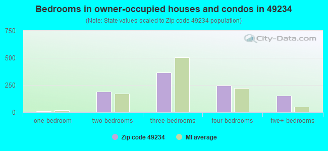 Bedrooms in owner-occupied houses and condos in 49234 