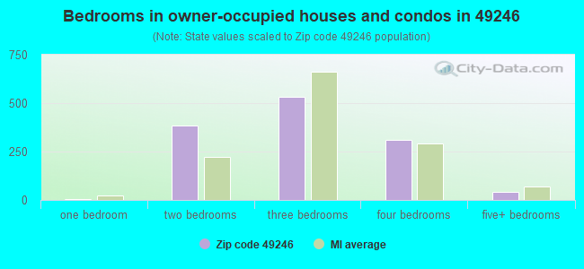 Bedrooms in owner-occupied houses and condos in 49246 