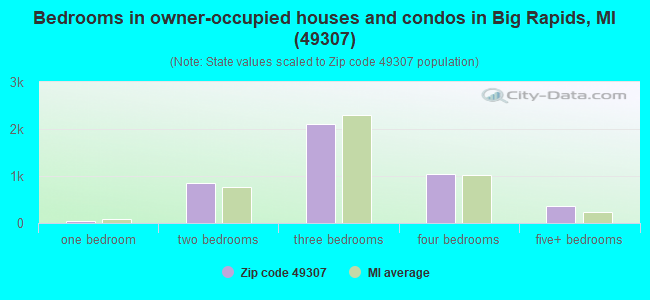 Bedrooms in owner-occupied houses and condos in Big Rapids, MI (49307) 