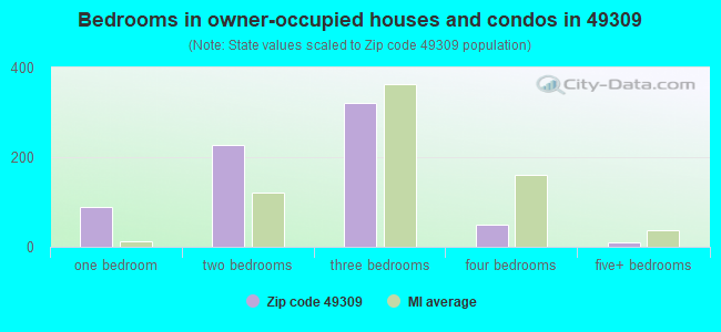Bedrooms in owner-occupied houses and condos in 49309 