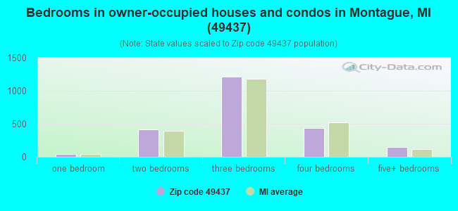 Bedrooms in owner-occupied houses and condos in Montague, MI (49437) 