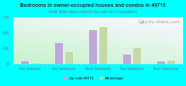 Bedrooms in owner-occupied houses and condos in 49715 