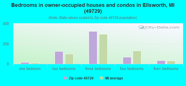 Bedrooms in owner-occupied houses and condos in Ellsworth, MI (49729) 