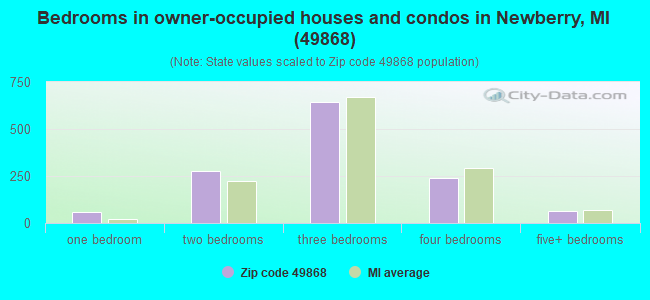 Bedrooms in owner-occupied houses and condos in Newberry, MI (49868) 
