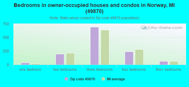 Bedrooms in owner-occupied houses and condos in Norway, MI (49870) 