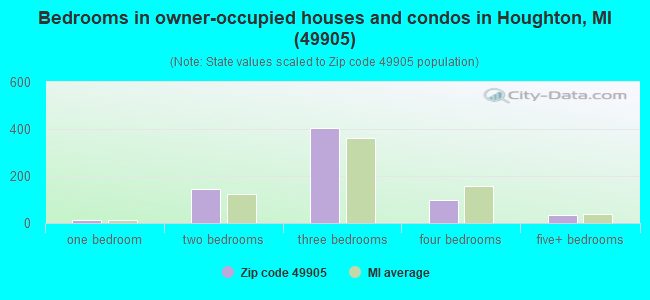 Bedrooms in owner-occupied houses and condos in Houghton, MI (49905) 