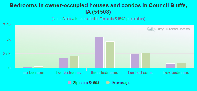 Bedrooms in owner-occupied houses and condos in Council Bluffs, IA (51503) 