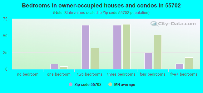Bedrooms in owner-occupied houses and condos in 55702 