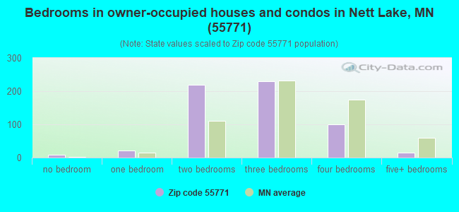Bedrooms in owner-occupied houses and condos in Nett Lake, MN (55771) 