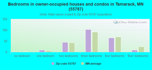 Bedrooms in owner-occupied houses and condos in Tamarack, MN (55787) 