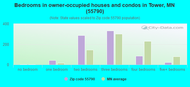 Bedrooms in owner-occupied houses and condos in Tower, MN (55790) 