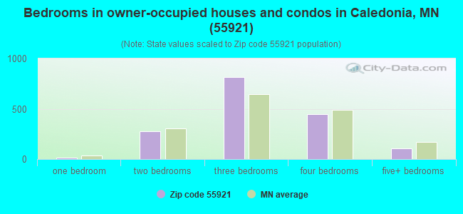 Bedrooms in owner-occupied houses and condos in Caledonia, MN (55921) 