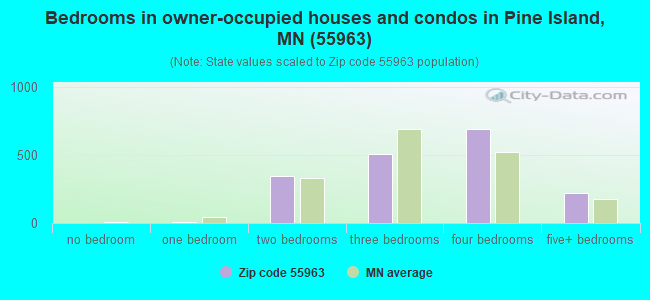 Bedrooms in owner-occupied houses and condos in Pine Island, MN (55963) 