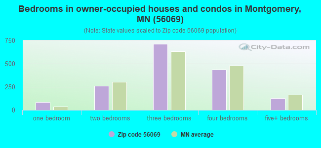 Bedrooms in owner-occupied houses and condos in Montgomery, MN (56069) 