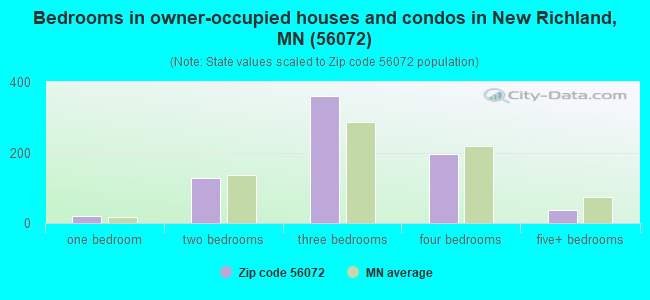 Bedrooms in owner-occupied houses and condos in New Richland, MN (56072) 