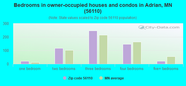 Bedrooms in owner-occupied houses and condos in Adrian, MN (56110) 