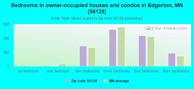Bedrooms in owner-occupied houses and condos in Edgerton, MN (56128) 