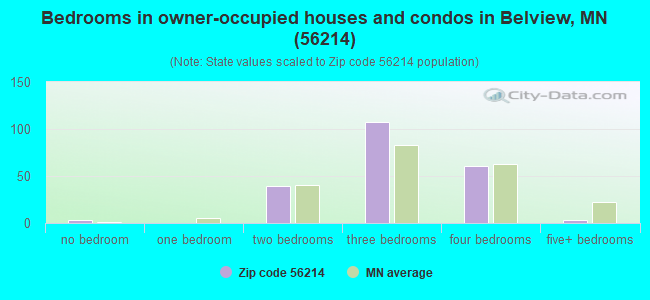 Bedrooms in owner-occupied houses and condos in Belview, MN (56214) 