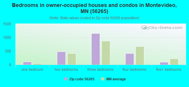 Bedrooms in owner-occupied houses and condos in Montevideo, MN (56265) 