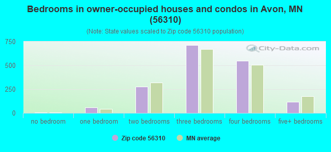 Bedrooms in owner-occupied houses and condos in Avon, MN (56310) 