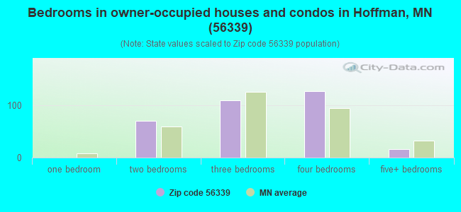 Bedrooms in owner-occupied houses and condos in Hoffman, MN (56339) 