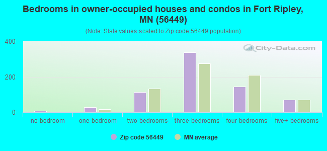 Bedrooms in owner-occupied houses and condos in Fort Ripley, MN (56449) 