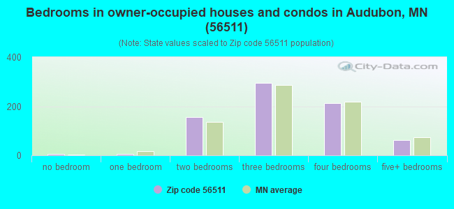 Bedrooms in owner-occupied houses and condos in Audubon, MN (56511) 