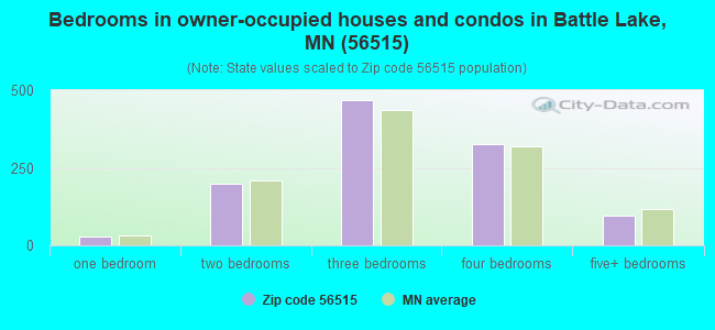 Bedrooms in owner-occupied houses and condos in Battle Lake, MN (56515) 