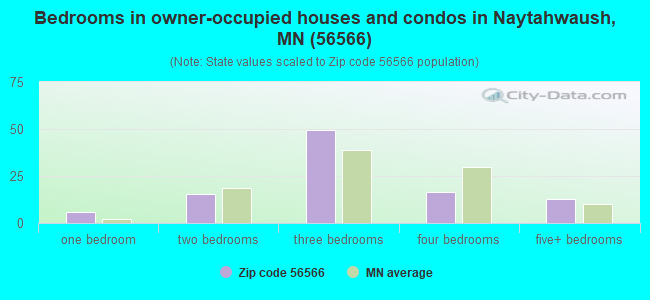 Bedrooms in owner-occupied houses and condos in Naytahwaush, MN (56566) 