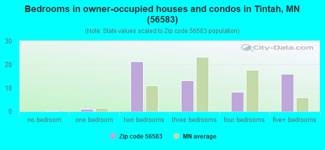 Bedrooms in owner-occupied houses and condos in Tintah, MN (56583) 