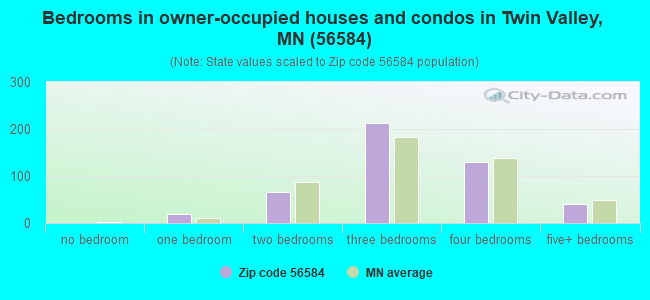 Bedrooms in owner-occupied houses and condos in Twin Valley, MN (56584) 
