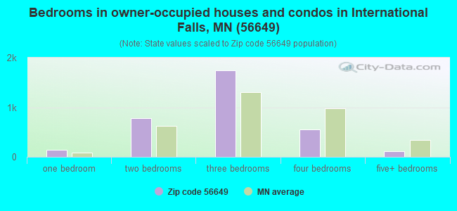 Bedrooms in owner-occupied houses and condos in International Falls, MN (56649) 