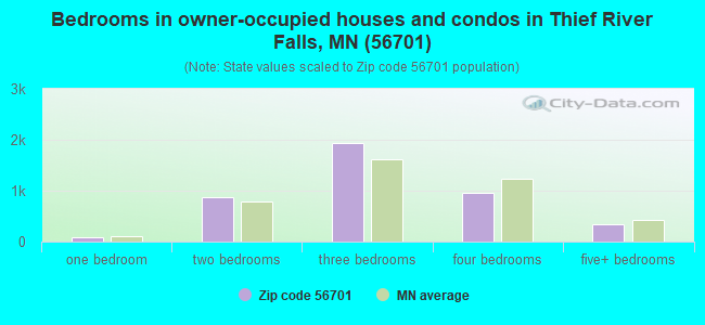 Bedrooms in owner-occupied houses and condos in Thief River Falls, MN (56701) 