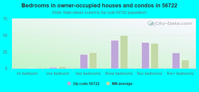 Bedrooms in owner-occupied houses and condos in 56722 