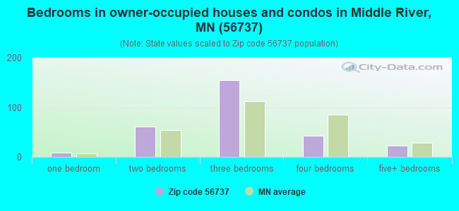 Bedrooms in owner-occupied houses and condos in Middle River, MN (56737) 