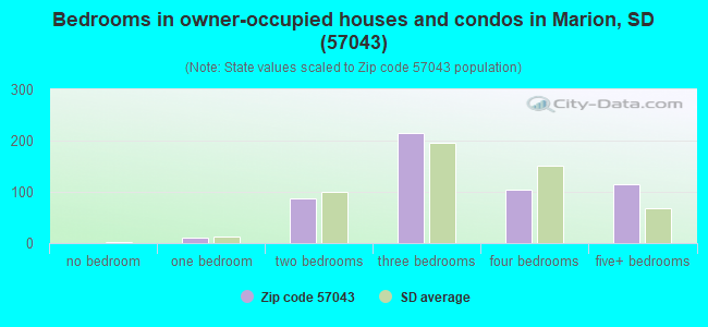 Bedrooms in owner-occupied houses and condos in Marion, SD (57043) 