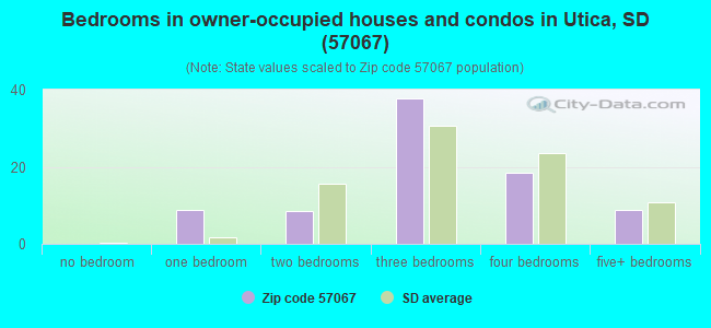 Bedrooms in owner-occupied houses and condos in Utica, SD (57067) 