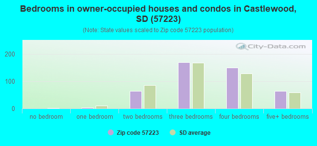 Bedrooms in owner-occupied houses and condos in Castlewood, SD (57223) 