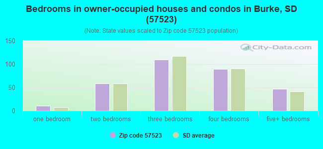 Bedrooms in owner-occupied houses and condos in Burke, SD (57523) 