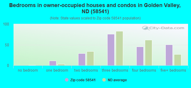 Bedrooms in owner-occupied houses and condos in Golden Valley, ND (58541) 