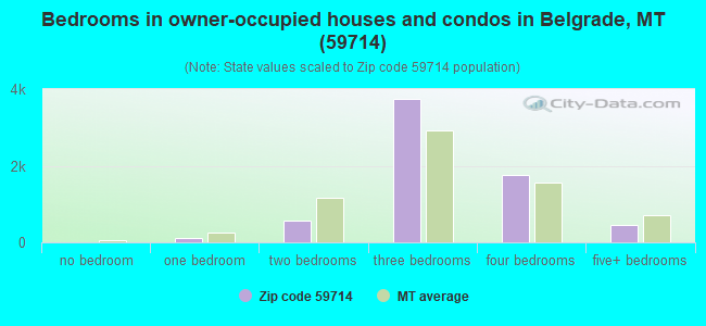Bedrooms in owner-occupied houses and condos in Belgrade, MT (59714) 