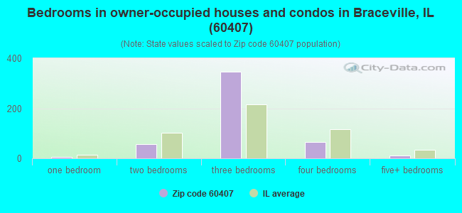Bedrooms in owner-occupied houses and condos in Braceville, IL (60407) 
