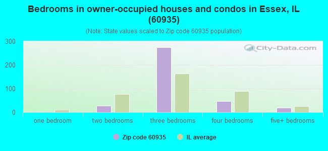 Bedrooms in owner-occupied houses and condos in Essex, IL (60935) 