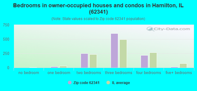Bedrooms in owner-occupied houses and condos in Hamilton, IL (62341) 